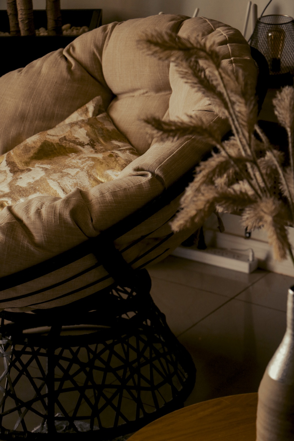 Chair and foliage in late afternoon light